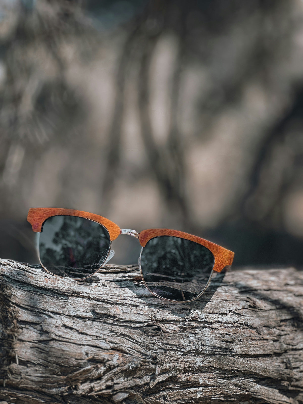 SUNGLASSES